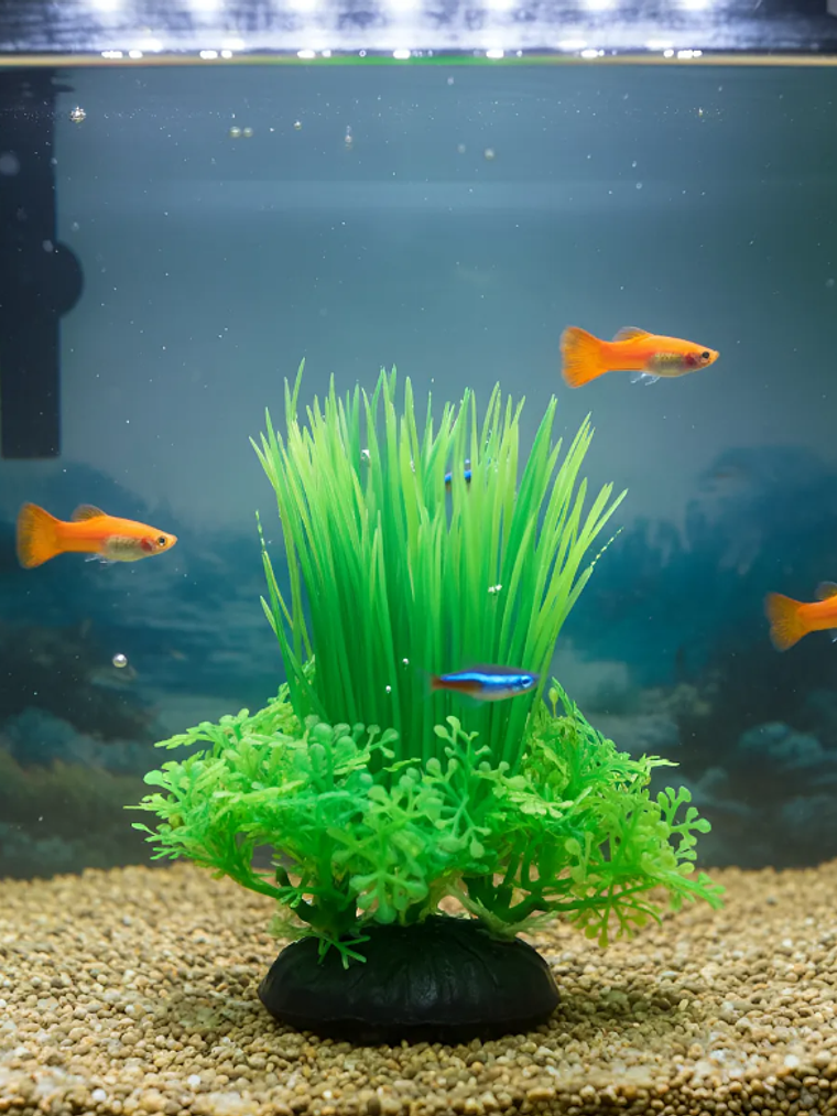 Planta Ácuatica Artfial para Decoración Acuario  4