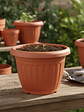 Macetero Plástico Redondo Terracota 25.5cm - Miniatura 1
