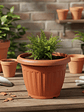 Macetero Plástico Redondo Terracota 25.5cm - Miniatura 5
