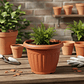 Macetero Plástico Redondo Terracota 25.5cm - Miniatura 5