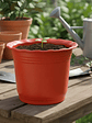 Macetero Plástico Rojo - Miniatura 6