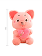 Peluche Chanchito Cerdito Rosado Con Corazón - Miniatura 5