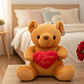 Oso De Peluche Con Corazón I Love You 20cm Regalo Amor - Miniatura 1
