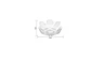 Portavelas De Vidrio Cristal Diseño Flor De Loto Decorat - Miniatura 5