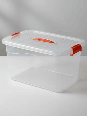 Caja Organizadora Plástica Transparente con Tapa 