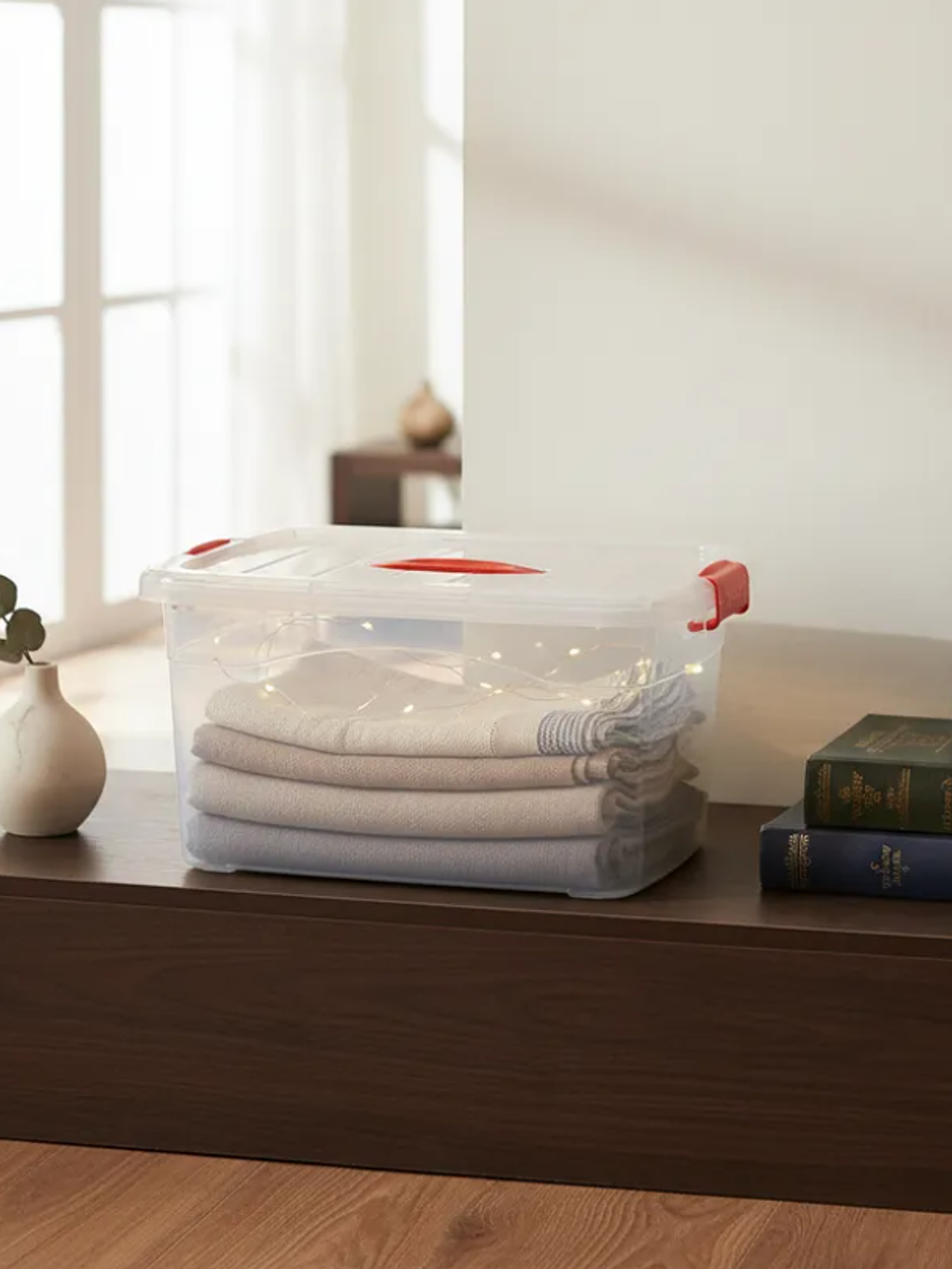 Caja Organizadora Plástica Transparente con Tapa  5