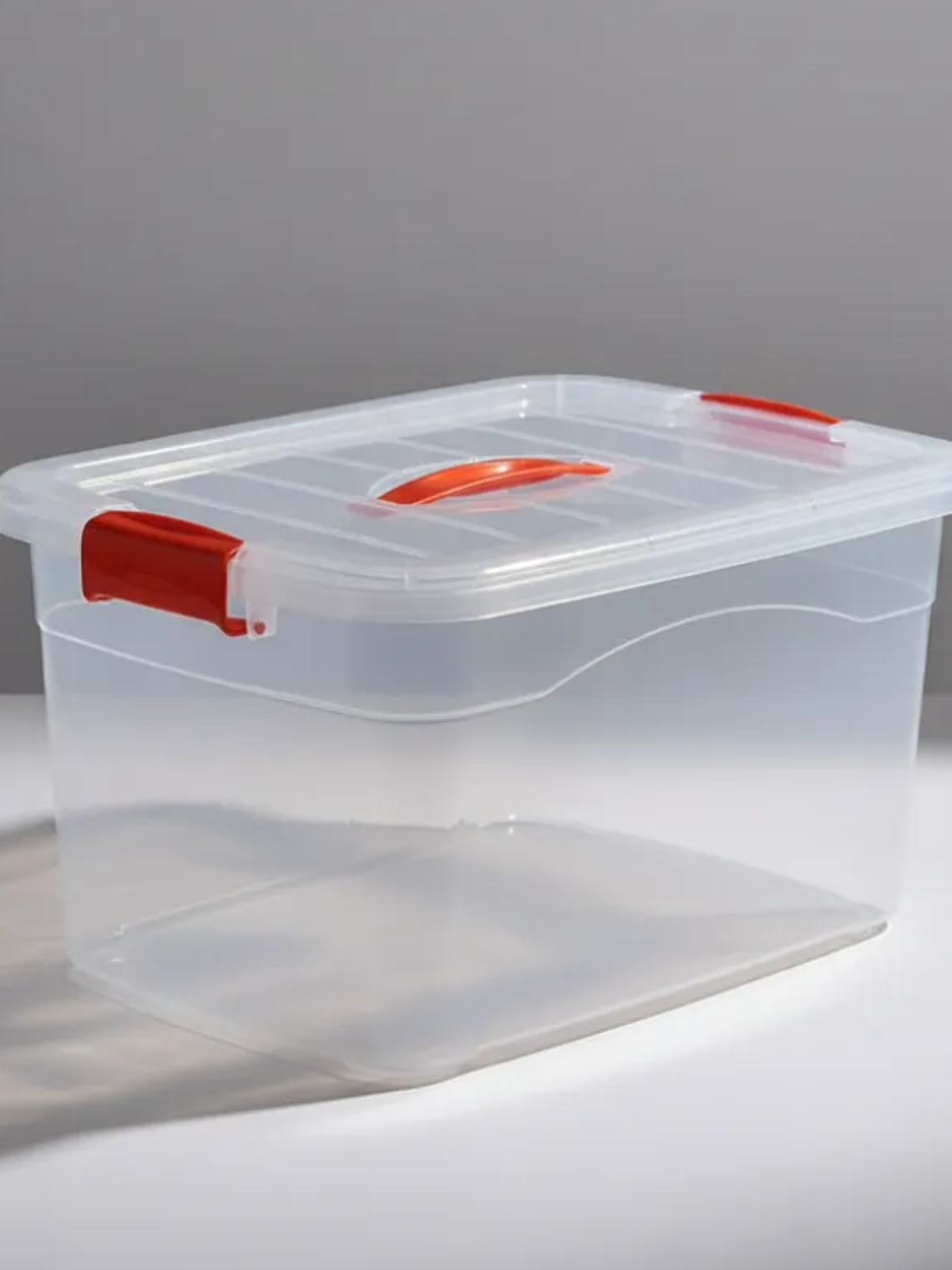 Caja Organizadora Plástica 1 Lts Transparente Con Tapa 2