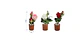 Rosa Artificial Decorativa con Macetero 29cm Varios Colores - Miniatura 3