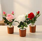 Rosa Artificial Decorativa con Macetero 29cm Varios Colores - Miniatura 4