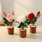 Rosa Artificial Decorativa con Macetero 29cm Varios Colores - Miniatura 4