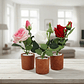 Rosa Artificial Decorativa con Macetero 29cm Varios Colores - Miniatura 6