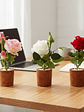 Rosa Artificial Decorativa con Macetero 29cm Varios Colores - Miniatura 2