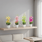 Planta Orquídea Artificial Decorativa Con Macetero Blanco - Miniatura 2