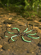 Set De Anzuelos Luminosos Fluorescentes Para Pesca 11mm - Miniatura 5