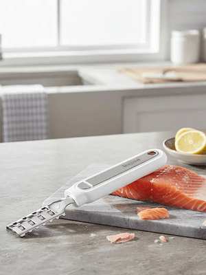 Desescamador De Pescado Richer Acero Inoxidable Quita Escamas