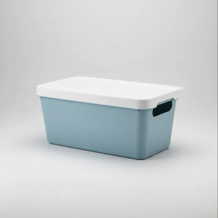 Caja Organizadora Plástica Con Tapa 33x17.5cm  3