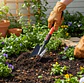 Pala De Jardín Metálica Mango Largo Ergonómico 41.5cm - Miniatura 2