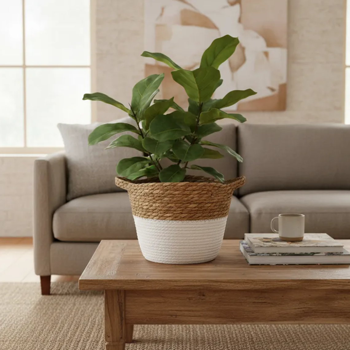 Set 3 Canastos Cestas Mimbre Decorativo Fibra Natural Bicolor 4