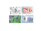 Set 6 Individuales y 6 Posavasos Floral 42x27.5cm - Miniatura 4