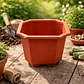 Maceter Plástico Octagonal 20x16cm Terracota - Miniatura 4