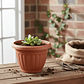 Macetero Plástico Redondo 19x16cm Color Terracota Para Jardín - Miniatura 1