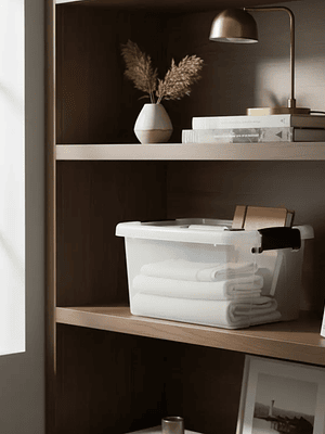 Caja organizadora plástica con tapa y asas 10L