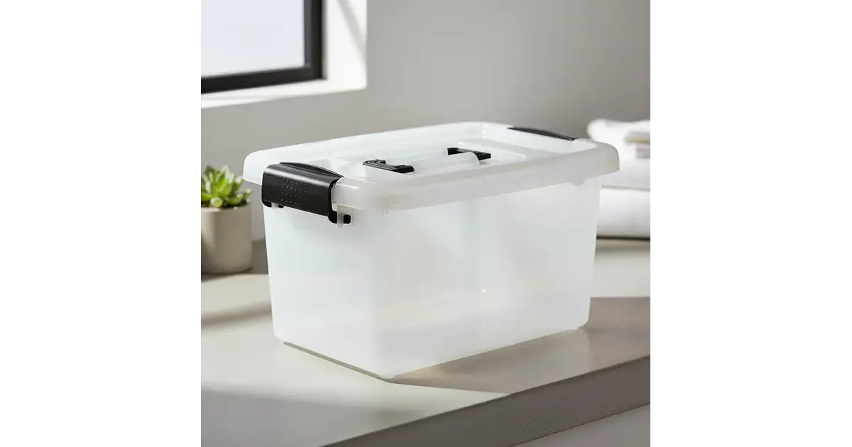 Caja organizadora plástica con tapa 6Ltr.