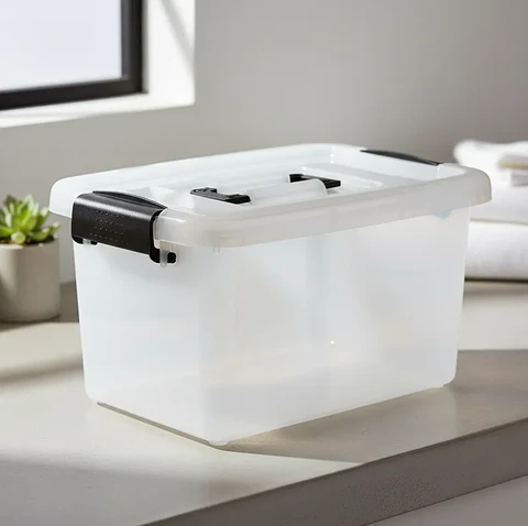 Caja organizadora plástica con tapa 6Ltr.