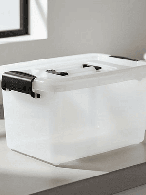 Caja organizadora plástica con tapa 6Ltr.