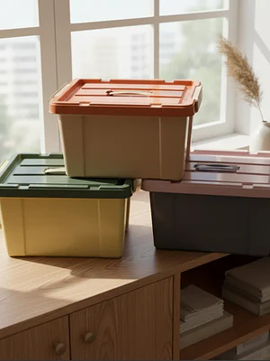 Caja organizadora plástica con tapa  20Ltr. 42x25x30 cm