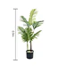 Planta Artificial Palmera Decorativa 0,9cm Con Macetero Negro - Miniatura 5