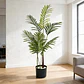 Planta Artificial Palmera Decorativa 0,9cm Con Macetero Negro - Miniatura 4