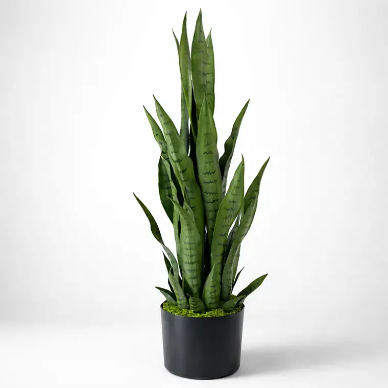 Planta Artificial Lengua De Suegra 90cm Con Macetero Negro 5