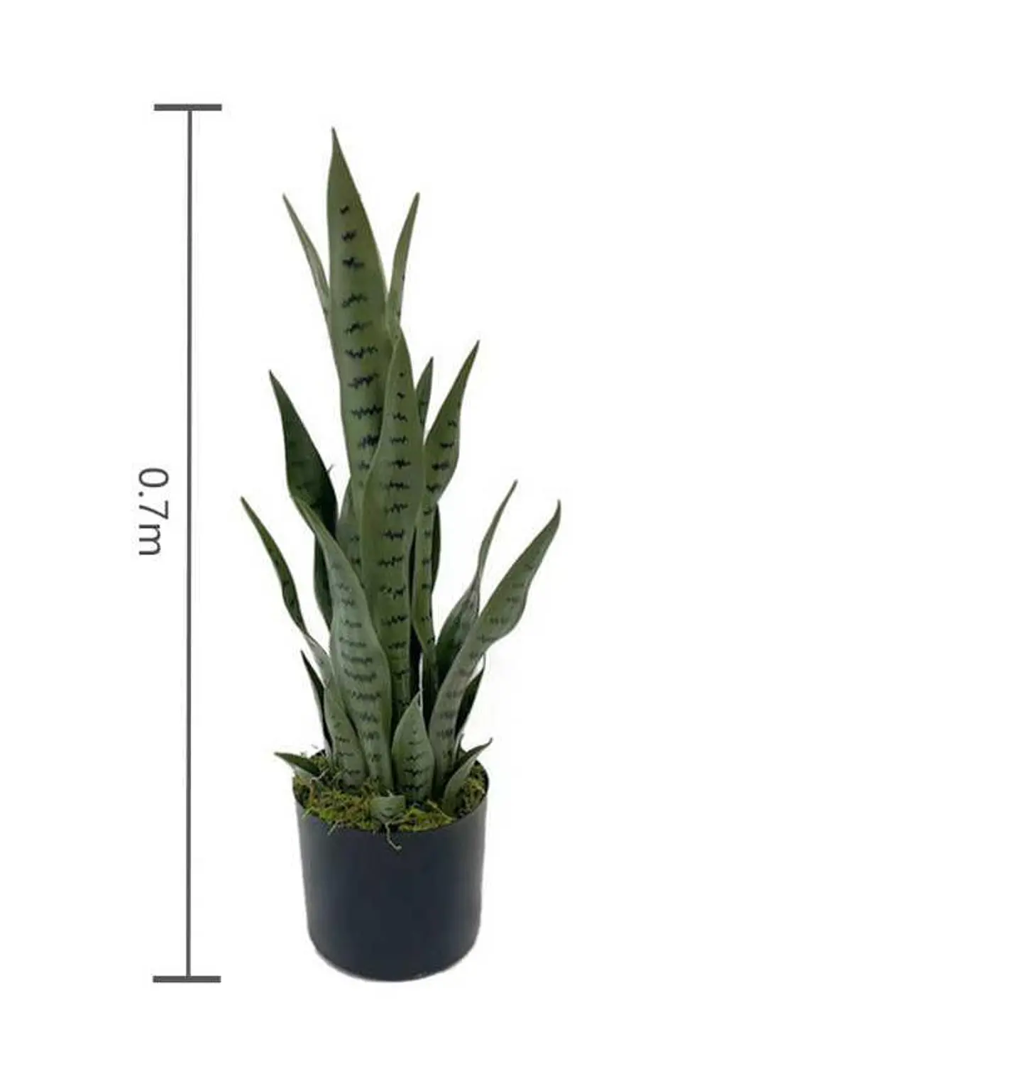 Planta Artificial Lengua de Suegra 70cm con Macetero Negro 5