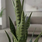 Planta Artificial Lengua de Suegra 70cm con Macetero Negro - Miniatura 2
