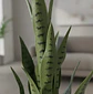 Planta Artificial Lengua de Suegra 70cm con Macetero Negro - Miniatura 2