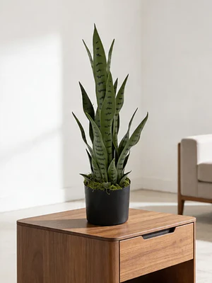 Planta Artificial Lengua de Suegra 70cm con Macetero Negro