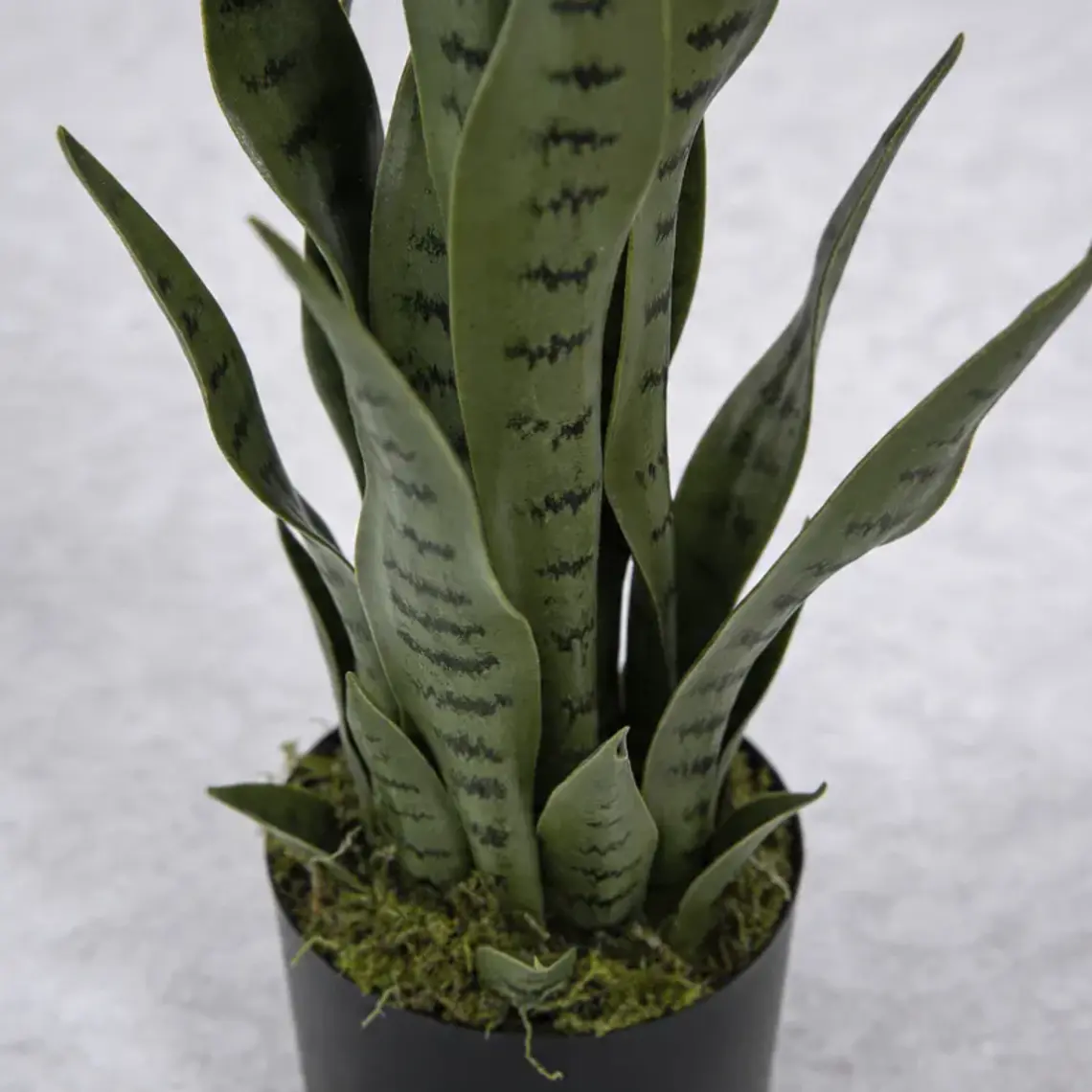Planta Artificial Lengua de Suegra 70cm con Macetero Negro 3