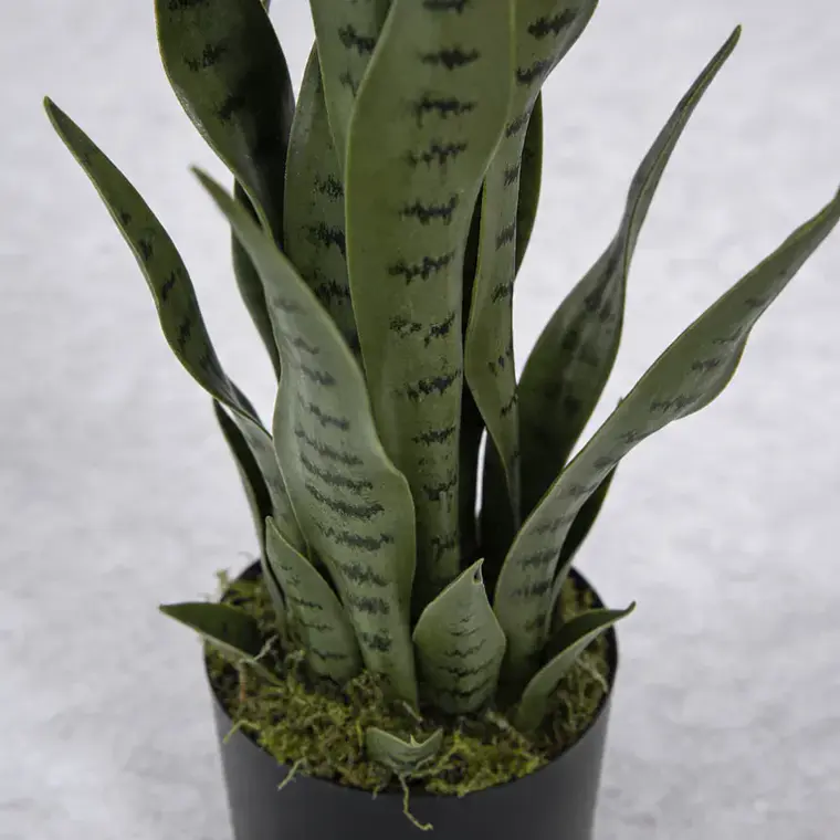 Planta Artificial Lengua de Suegra 70cm con Macetero Negro 3