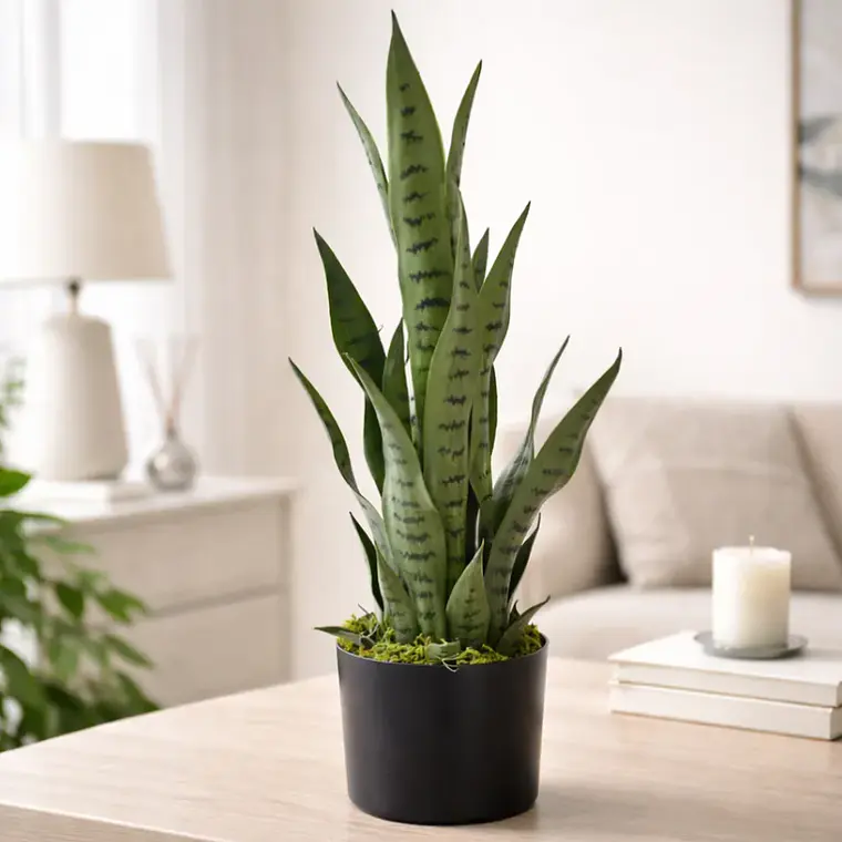 Planta Artificial Lengua de Suegra 70cm con Macetero Negro 6