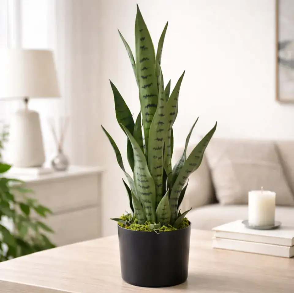 Planta Artificial Lengua de Suegra 70cm con Macetero Negro 6