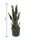 Planta Artificial Lengua De Suegra Decorativa 50cm Con Macetero - Miniatura 5
