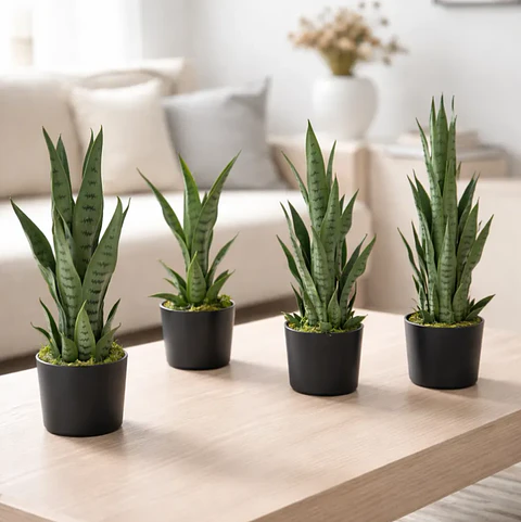 Planta Artificial Lengua De Suegra Decorativa 50cm Con Macetero