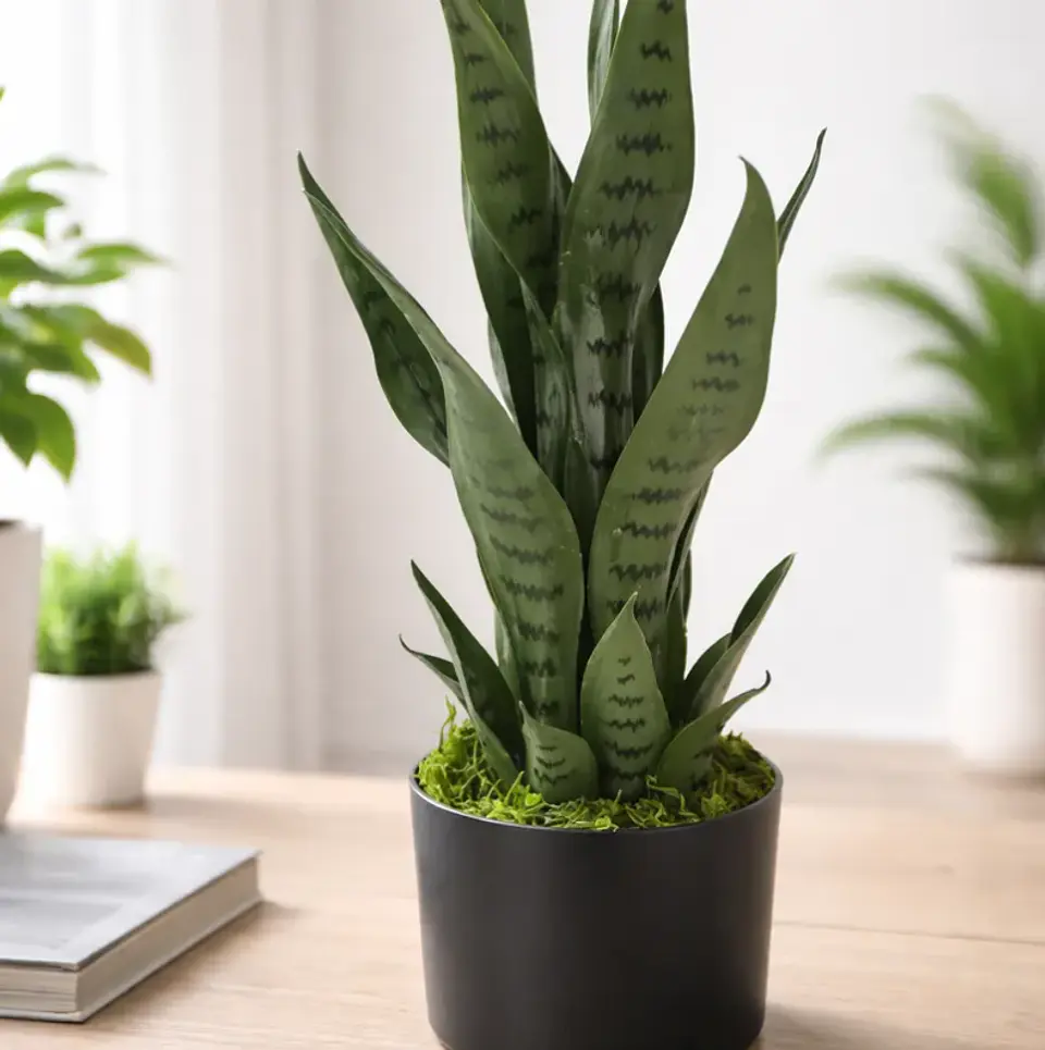 Planta Artificial Lengua De Suegra Decorativa 50cm Con Macetero 4