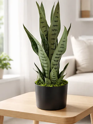 Planta Artificial Lengua De Suegra Decorativa 50cm Con Macetero