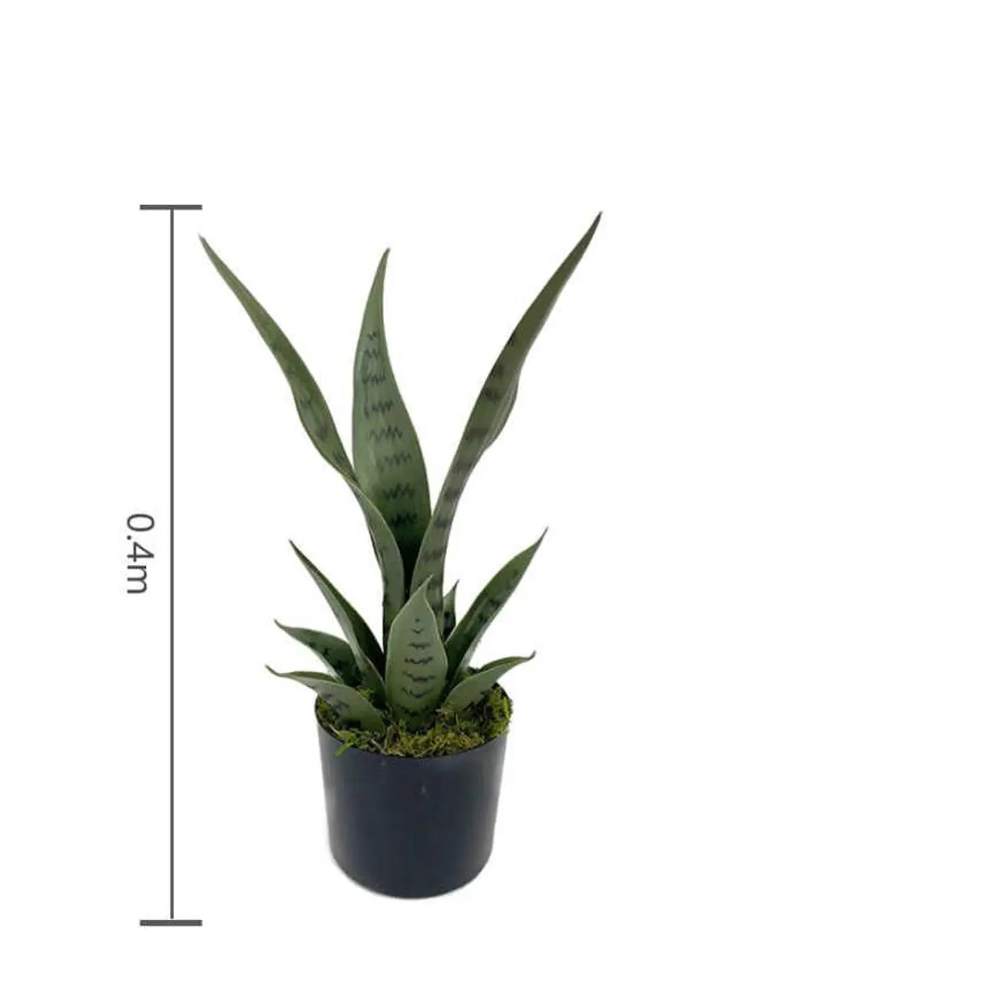 Planta Artificial Decorativa Sansevieria 40cm Con Macetero 5