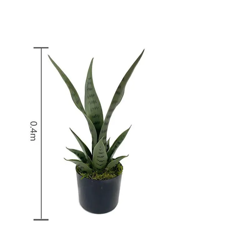 Planta Artificial Decorativa Sansevieria 40cm Con Macetero 5