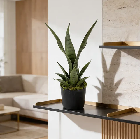 Planta Artificial Decorativa Sansevieria 40cm Con Macetero