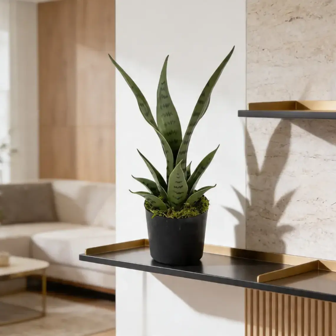 Planta Artificial Decorativa Sansevieria 40cm Con Macetero 1