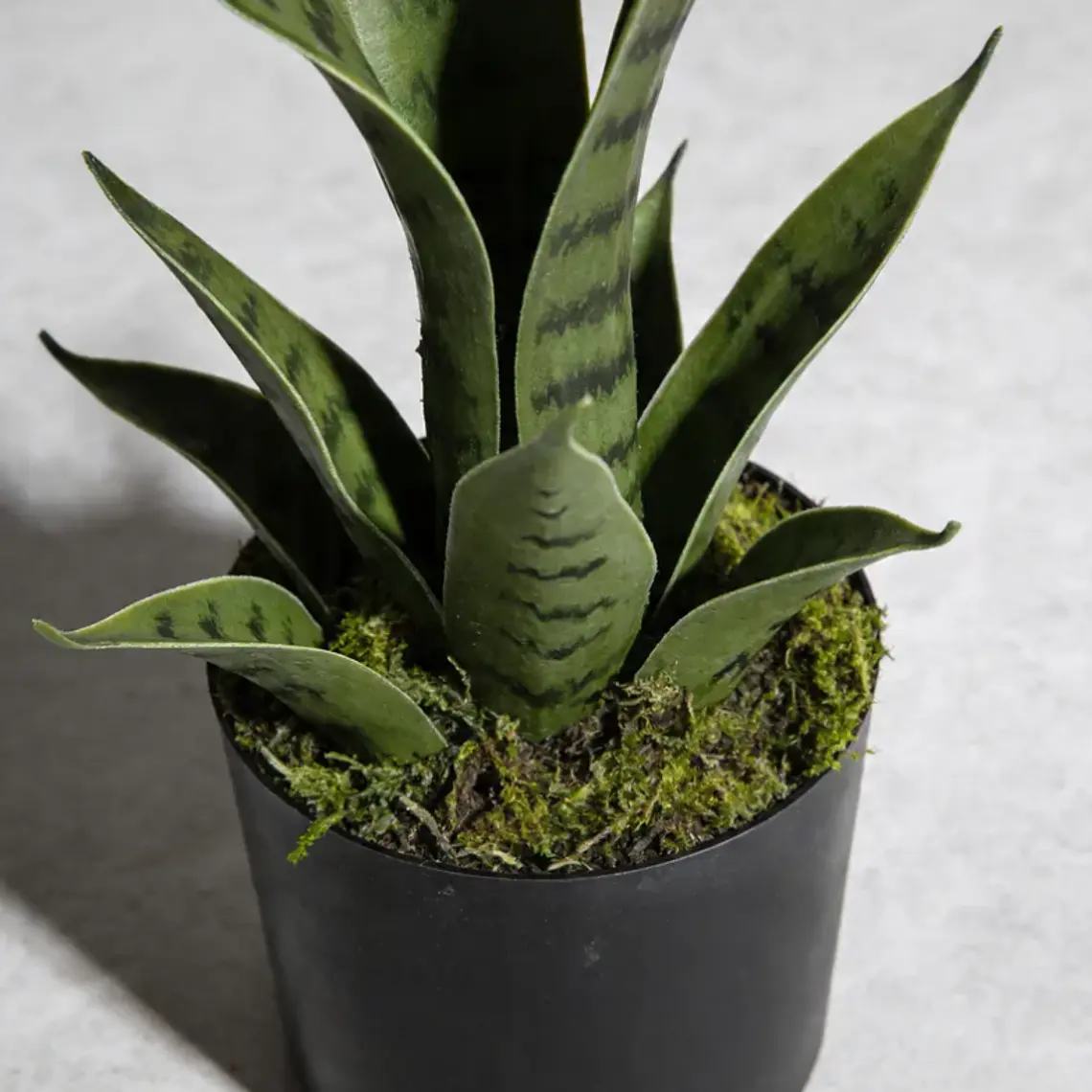 Planta Artificial Decorativa Sansevieria 40cm Con Macetero 4